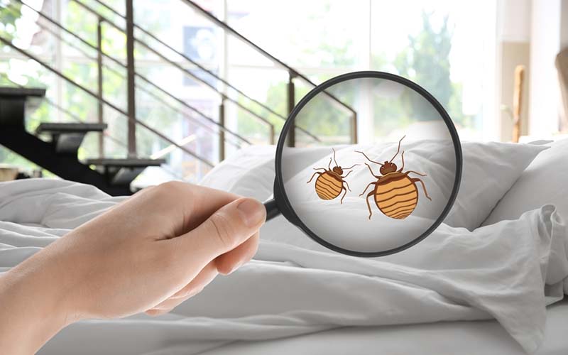 carpet cleaning in NYC, carpet cleaning in new york, carpet cleaning NYC, carpet cleaners in NYC, carpet cleaners in new york, commercial carpet cleaning, commercial carpet cleaning in NYC, NYC rug cleaners, rug cleaning services in NYC, same day carpet cleaning, same day rug cleaning